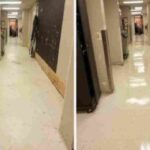 VCT strip and wax services North Carolina