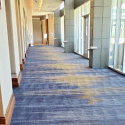 Apartment building carpet cleaning between tenancies North Carolina