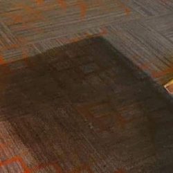 Country club carpet and upholstery cleaning services North Carolina